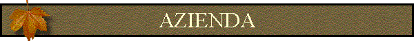AZIENDA