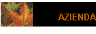 AZIENDA