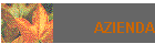 AZIENDA