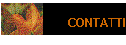 CONTATTI
