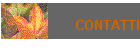 CONTATTI