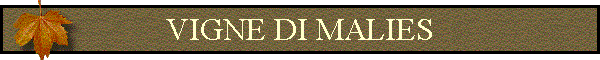 VIGNE DI MALIES