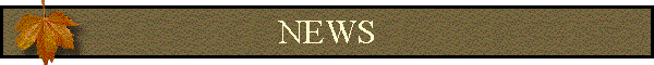 NEWS
