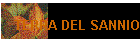 TERRA DEL SANNIO